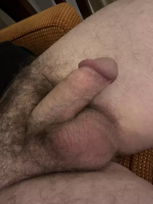 Can’t decide if this is soft or semi. Maybe 5-10% getting hard here.  by lifeonsexualenergy