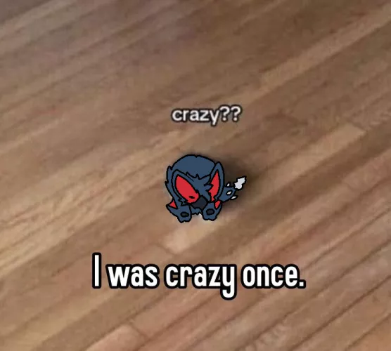 crazy?? I was crazy once. (By @RuiOnRollers, me!) by Used_Dimension1555