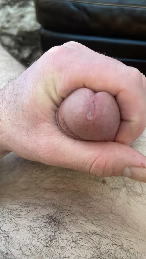 Drip.  by Highlife04