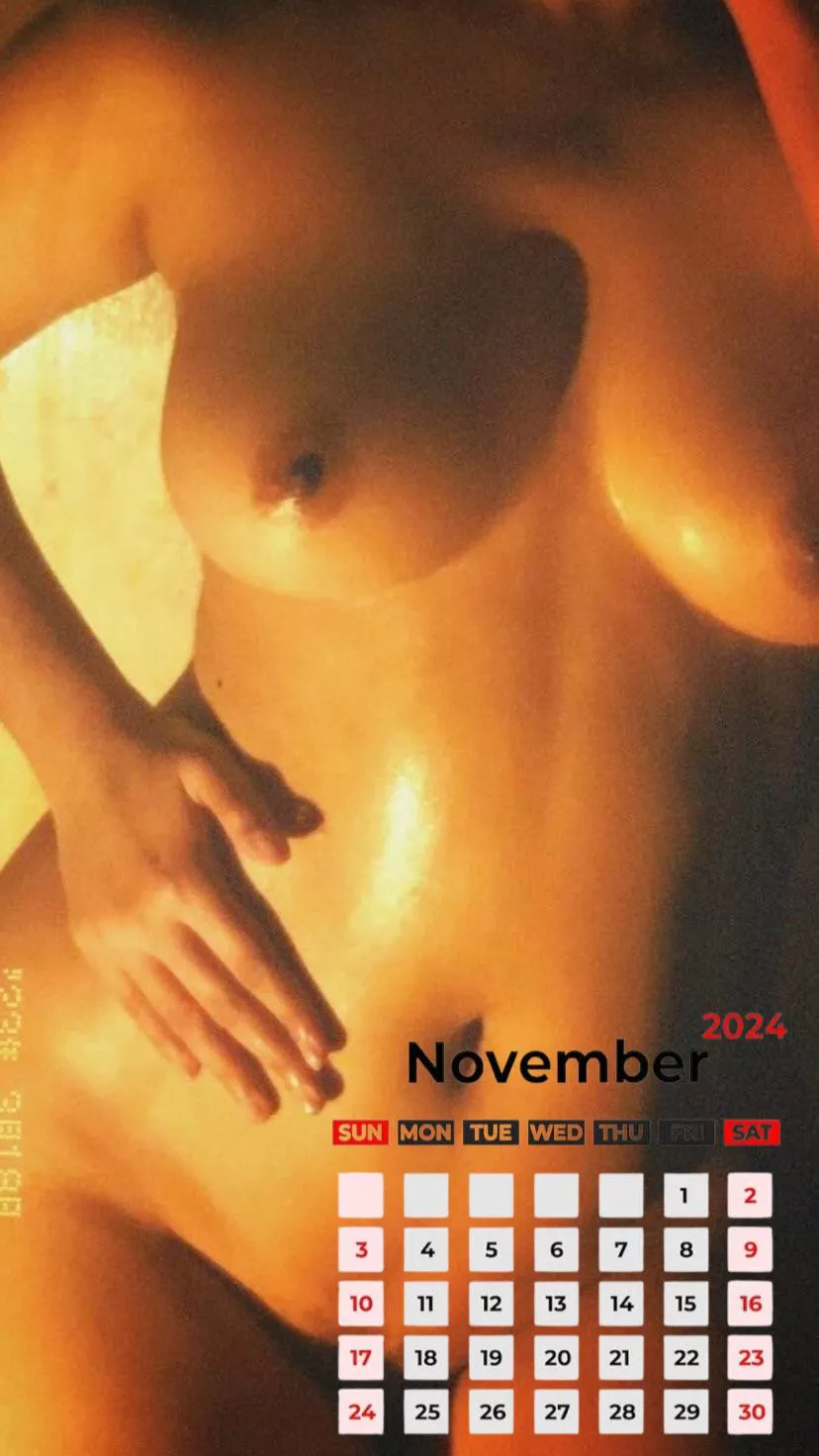 [F]or the month of November 2024. NNN?  posted by untitledhell