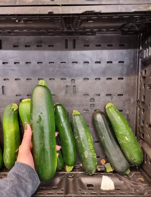 Go big or go home. by Deathrider66