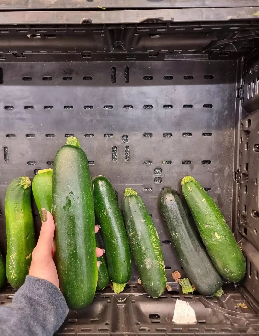 Go big or go home. posted by Deathrider66