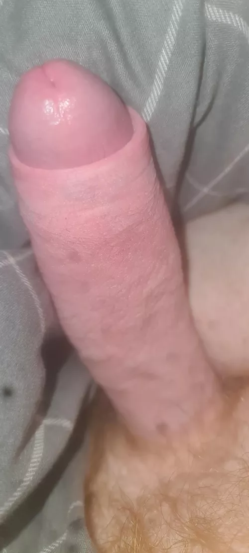 Guess the size [24] UK by NoStay1915