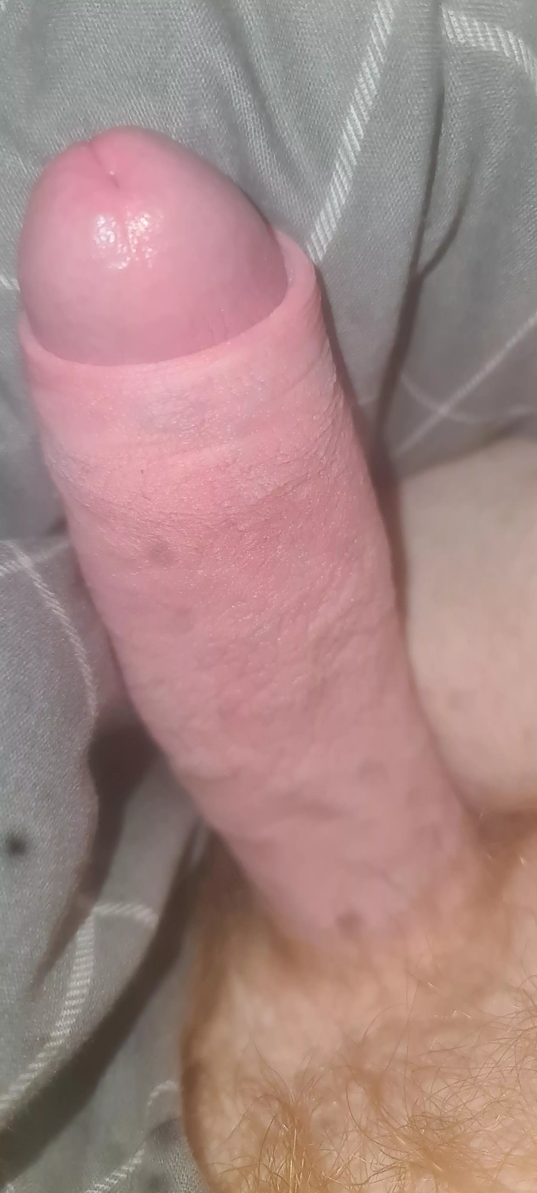 Guess the size [24] UK posted by NoStay1915