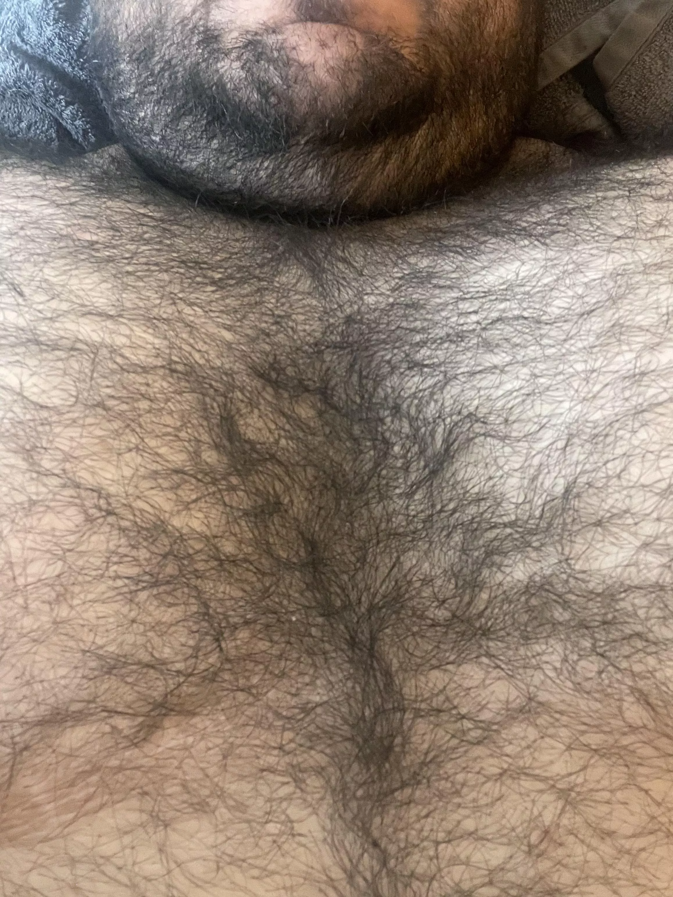 I think I have a lot of hair... posted by harrycovington