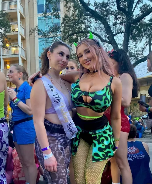 If looks could kill..... by Insectpolitics