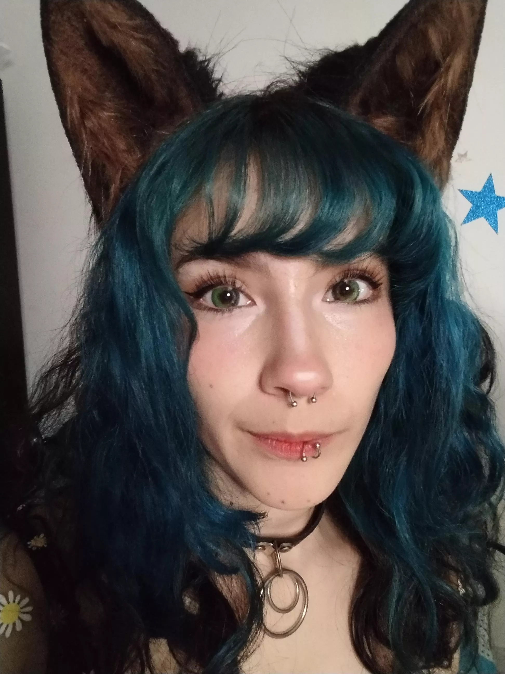 I'm a good and spoiled kitty posted by sofia-imoon