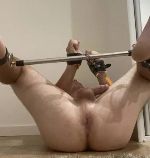 I’m just begging now by Rude-Band225