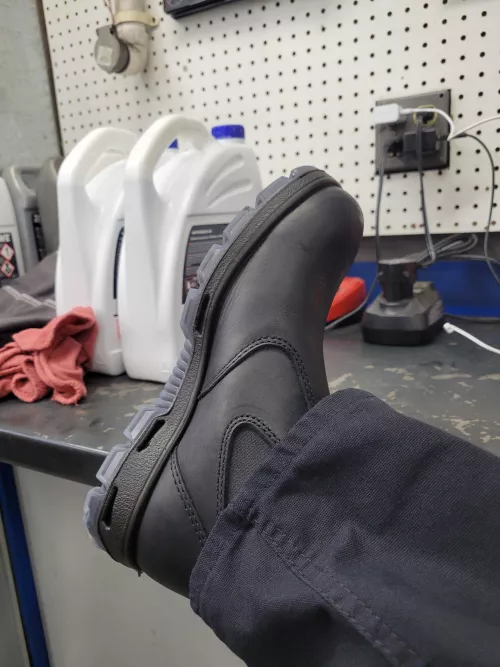 New Redbacks today by Fit-File1519