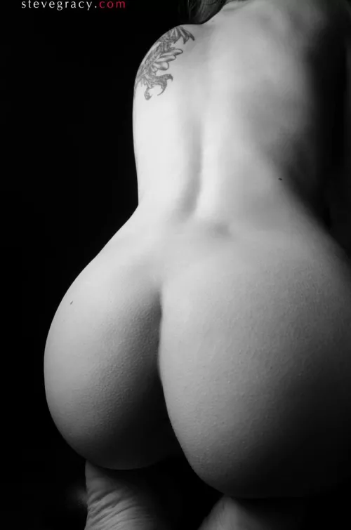 Rose by SteveGracyPhoto