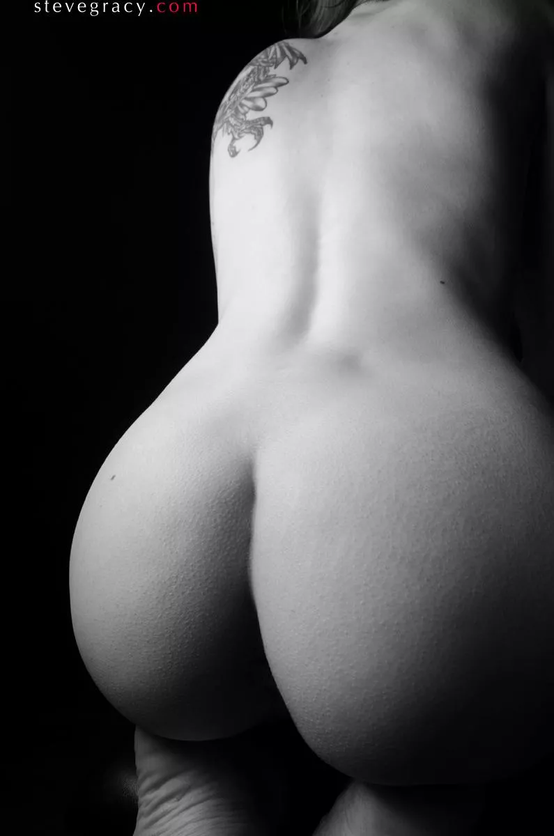 Rose posted by SteveGracyPhoto