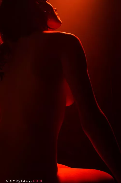 Rose in red light by SteveGracyPhoto