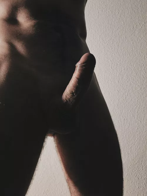 silhouette + shadow by willgrahamthird