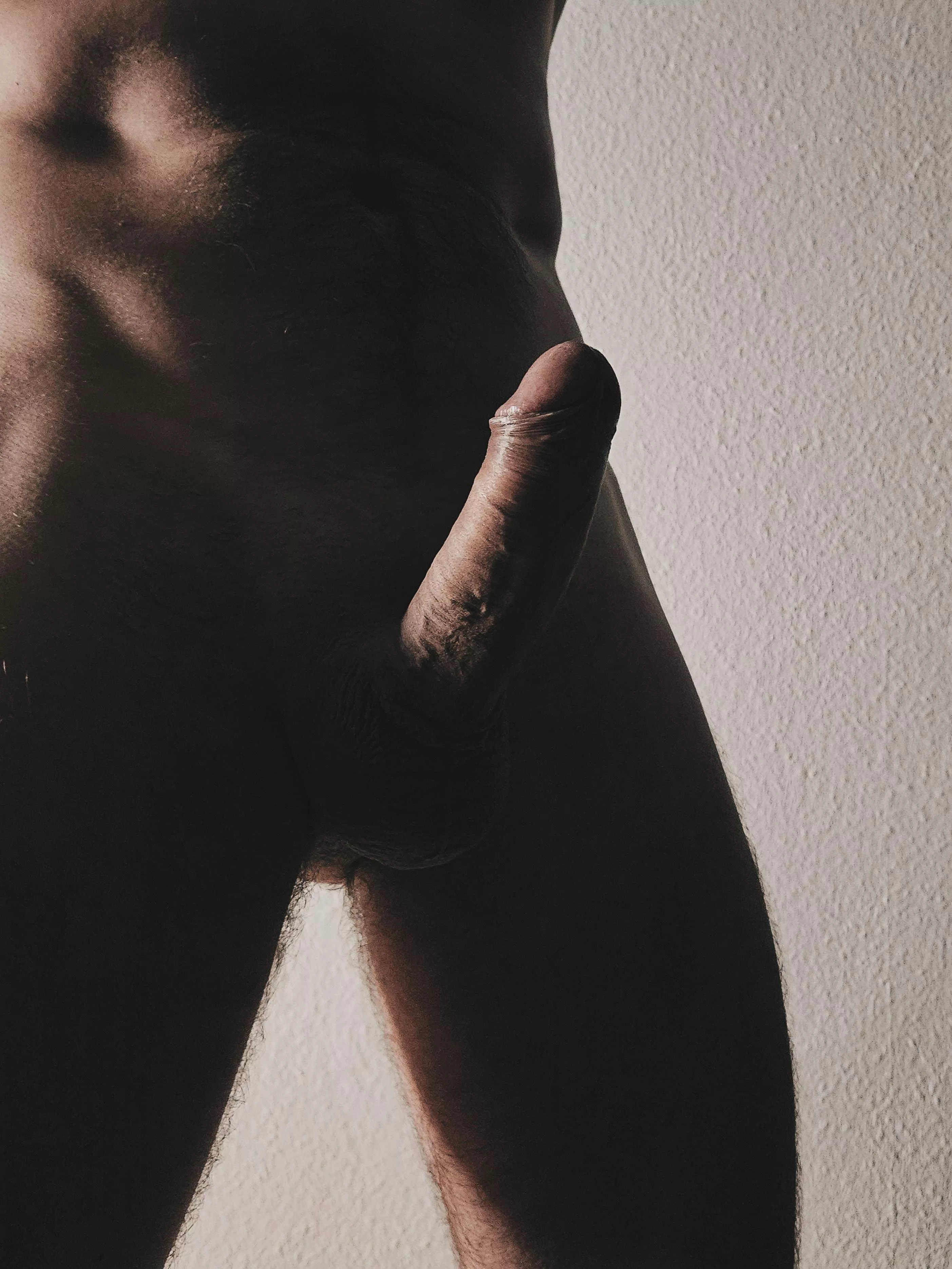 silhouette + shadow posted by willgrahamthird