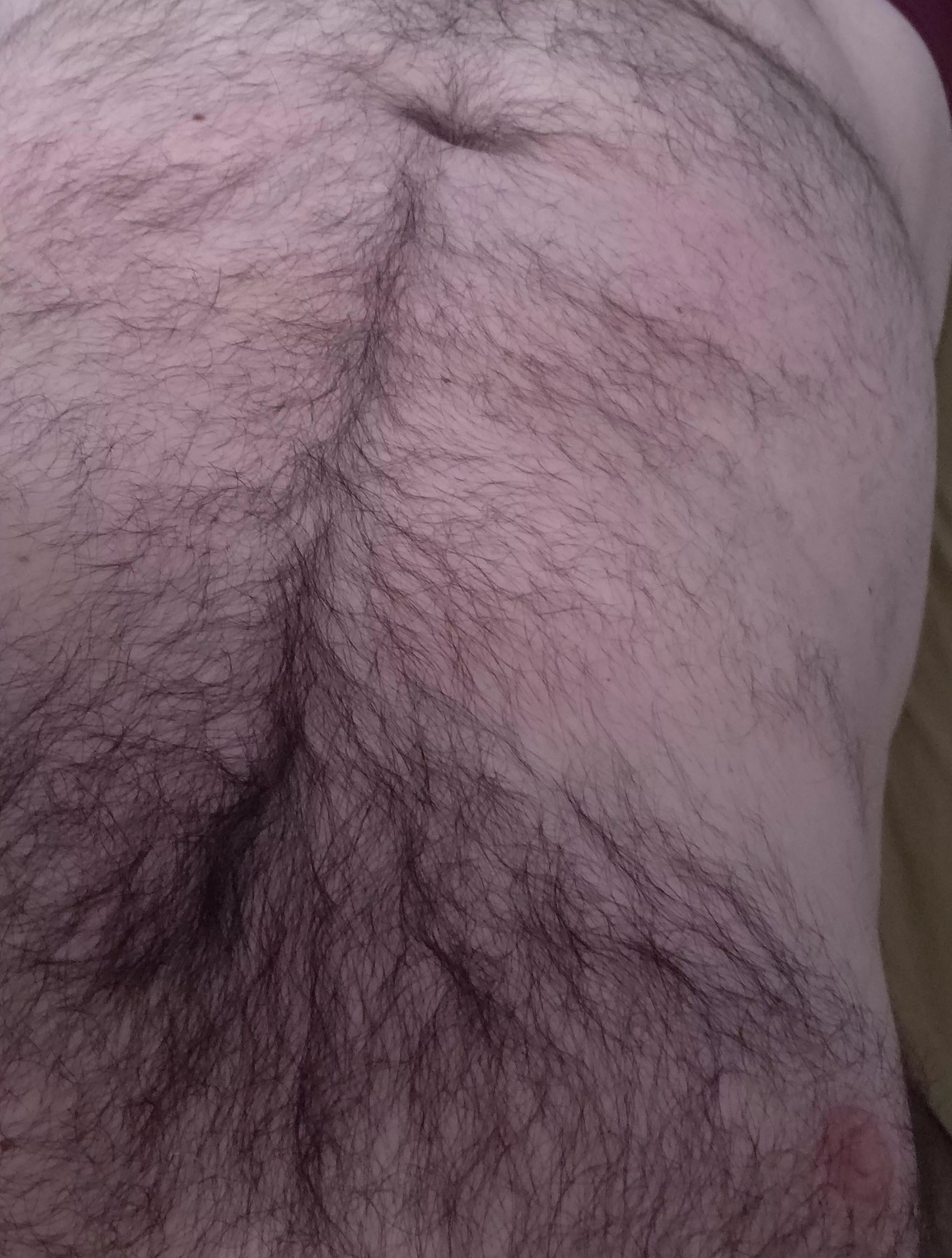 Time to relax now...things to do? posted by HairyDiplodocus