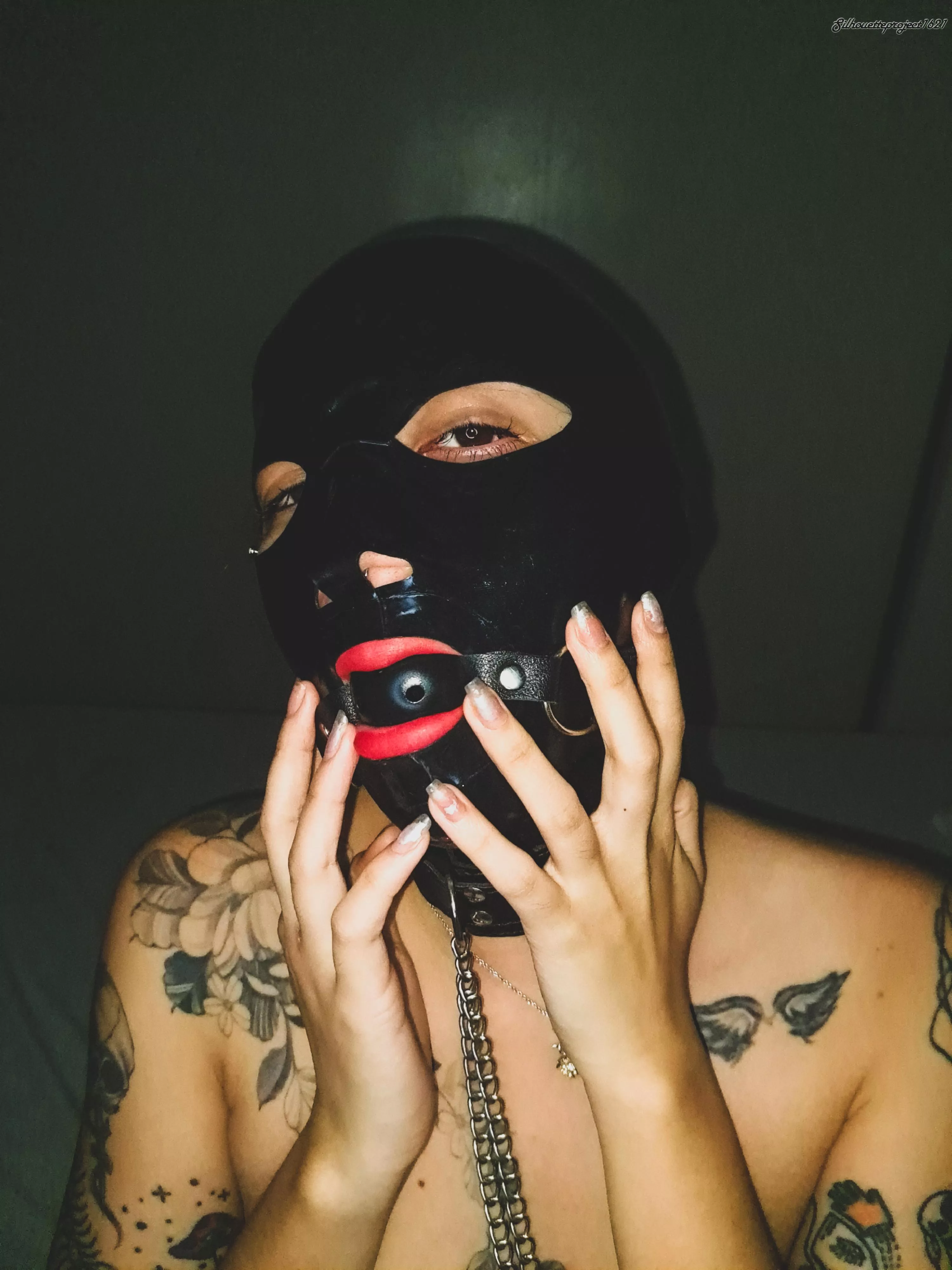 Tonight's entertainment  posted by Silhouette_Project