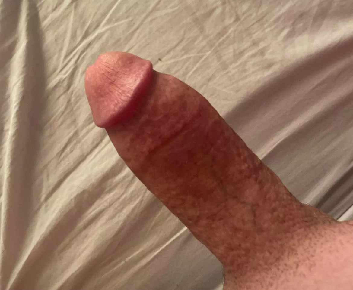What I love stroking everyday posted by jimsbone