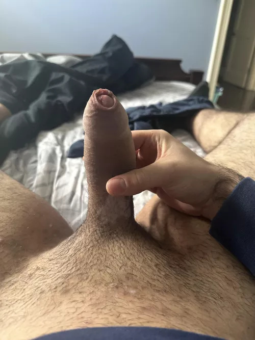 What would you do with it by frenchbaguette007