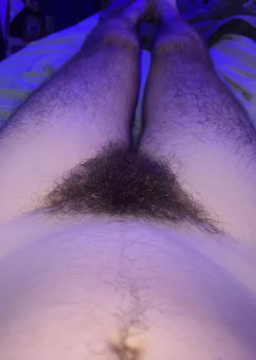 What’s hiding under the bush?  by trp8n08