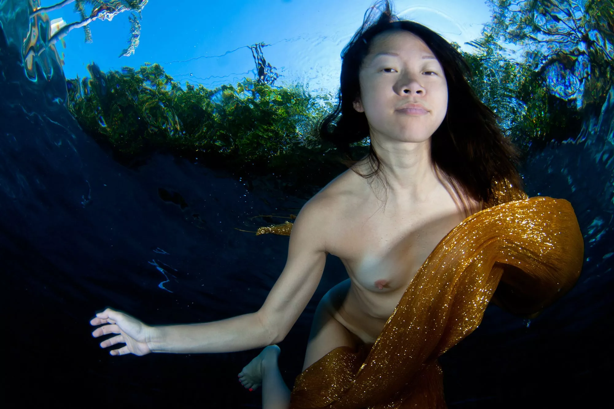 Wrapped in gold posted by IAmSnort