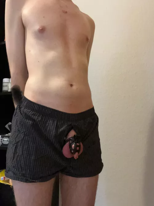 22 sub who wants to own me? by Separate_Insurance79