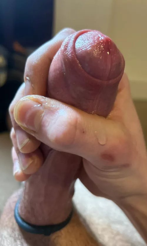 [24] do you prefer cut or uncut cock? by Ok_Tax1762