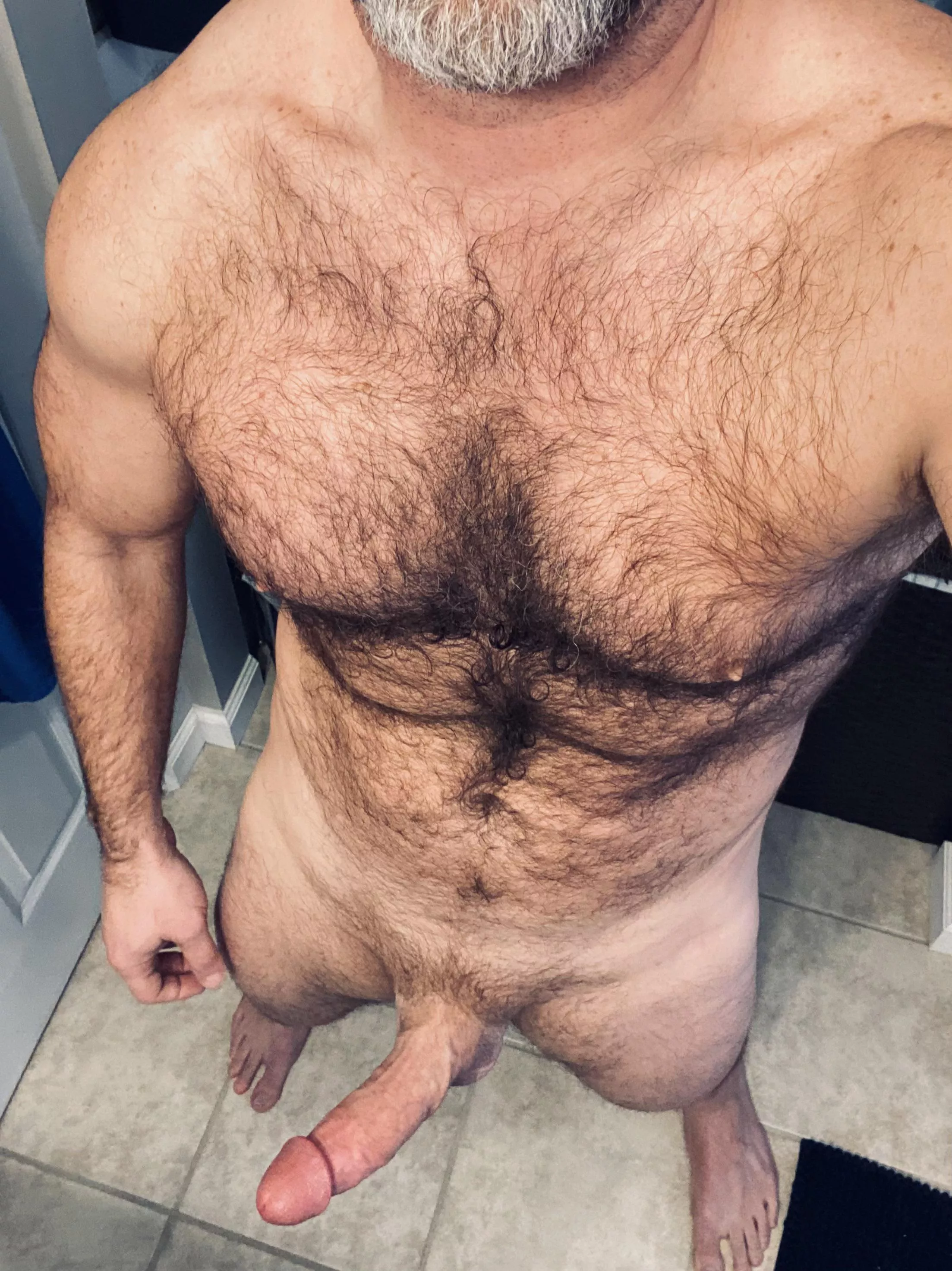 (42) furry chested daddy dom type….  posted by singlexlmale
