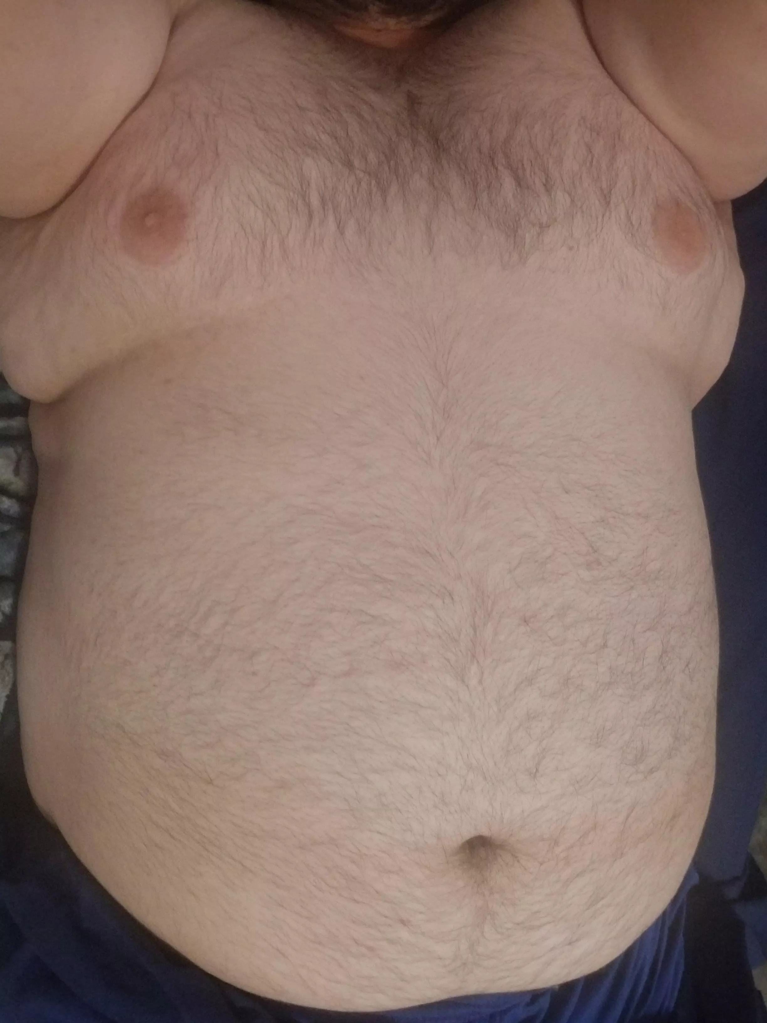 A nice relaxing evening in bed. posted by Link_the_Wolf