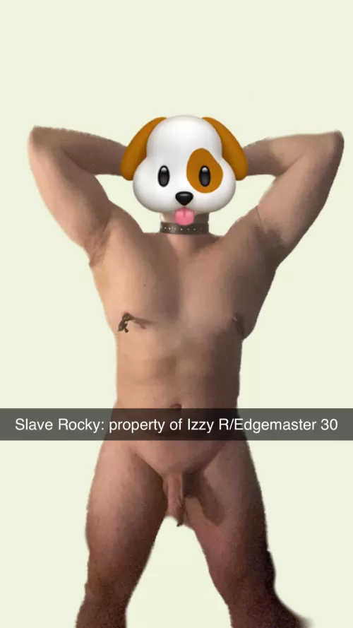 Almost 3 months have passed since I became a slave to my owner Edgemaster30. Ever since, I've relinquished all of my rights and freedom. My owner is debating wether to control my erections and orgasm through a chastity cage. Write your opinion in the co by rugby_bll