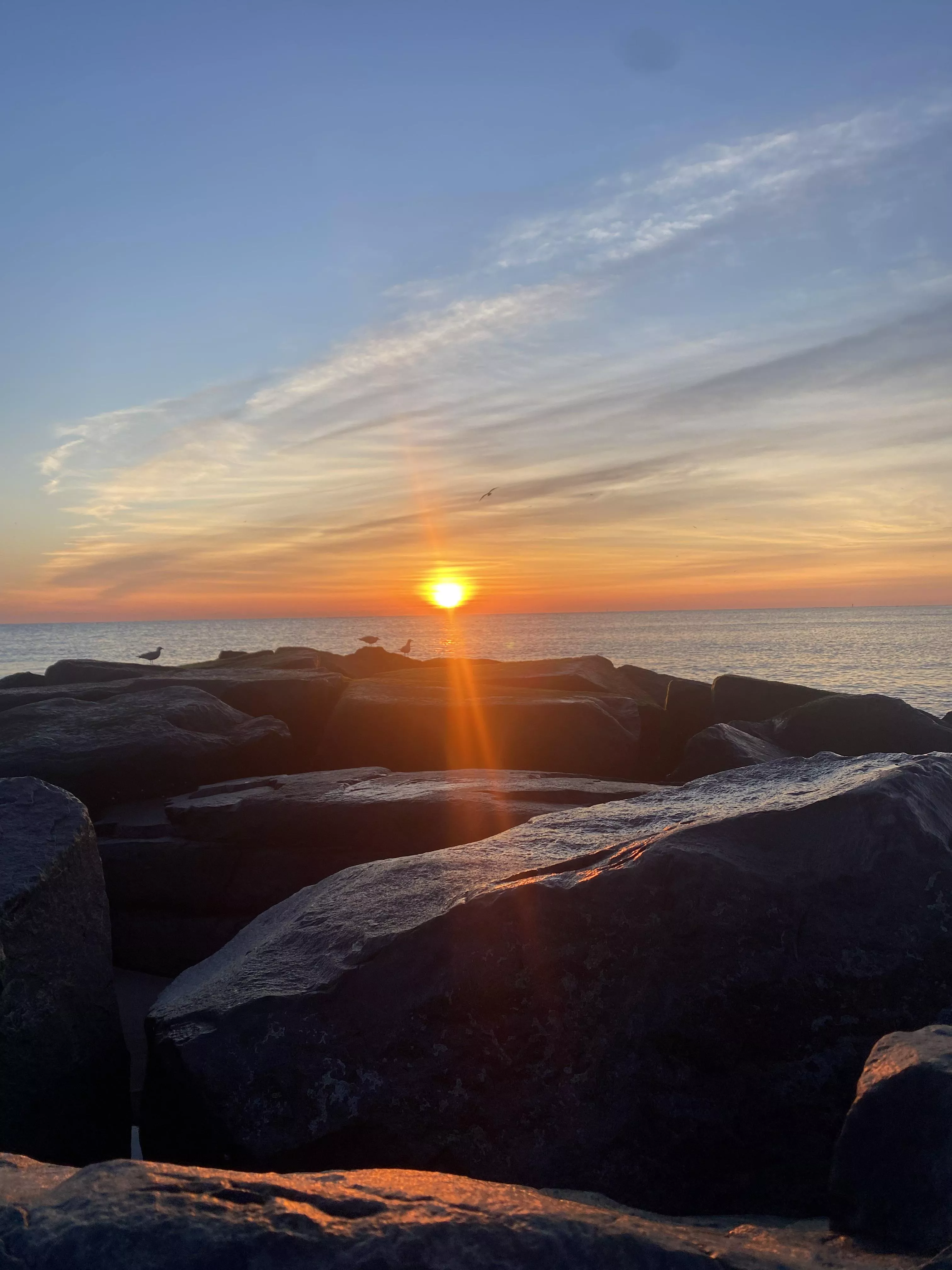 Another cold morning on the Jersey shore 🤙🏻🎶🎶 posted by bronxboy59