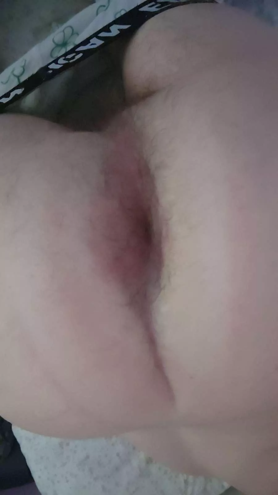 Anybody have any home made creampie vids I love seeing an ass get bred balls deep espically multiple times and oozing out just dreaming it could be my ass one day😩 posted by RadiantEggplant9