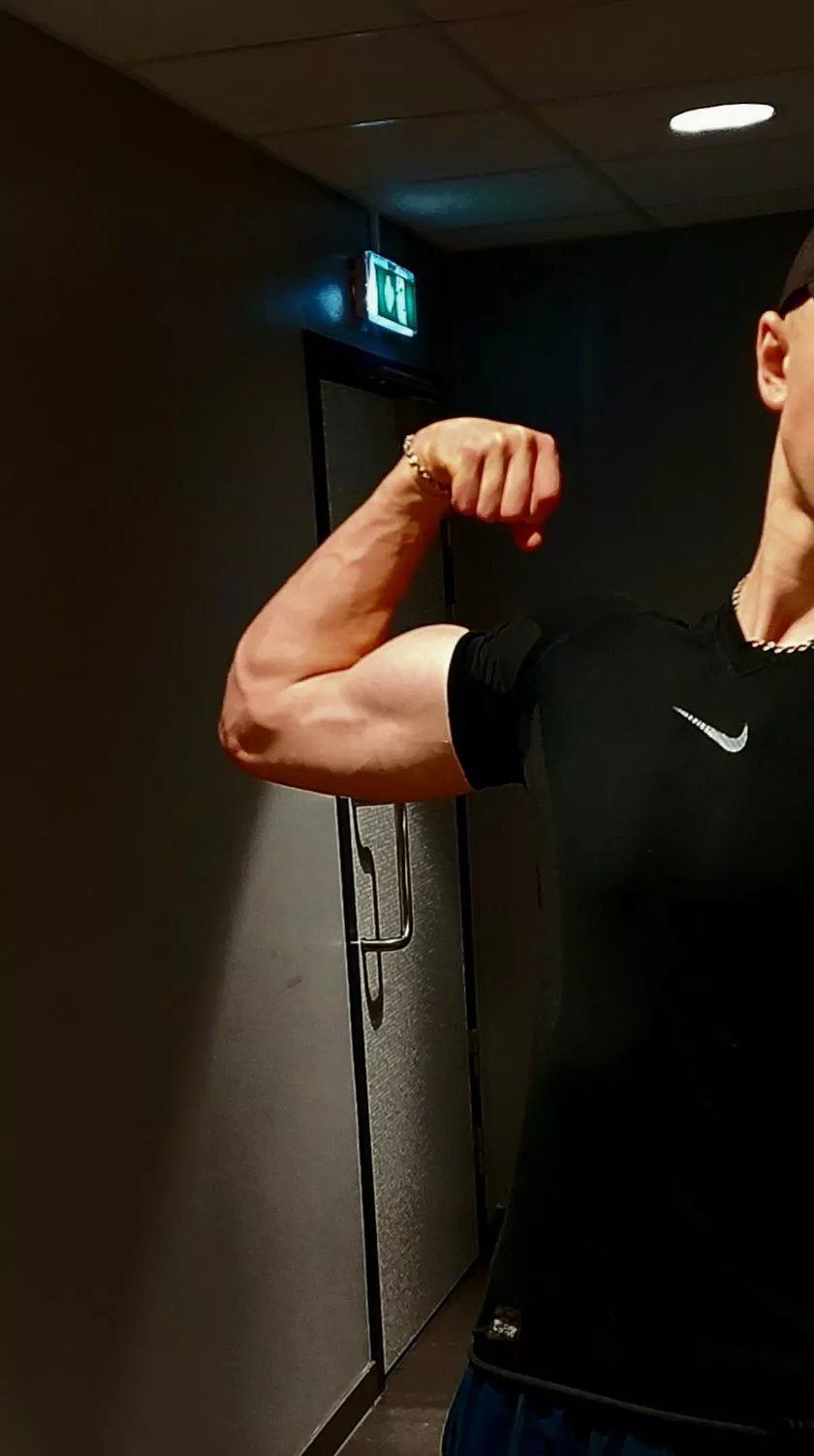 arm day> posted by SBGN1