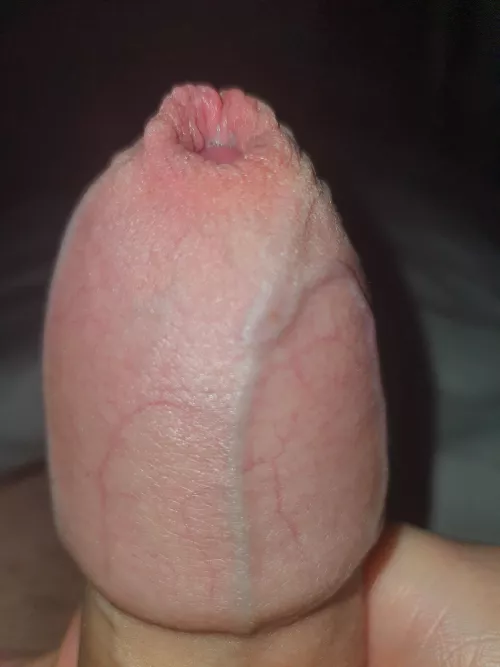 Bite it by Playful_Assistance70