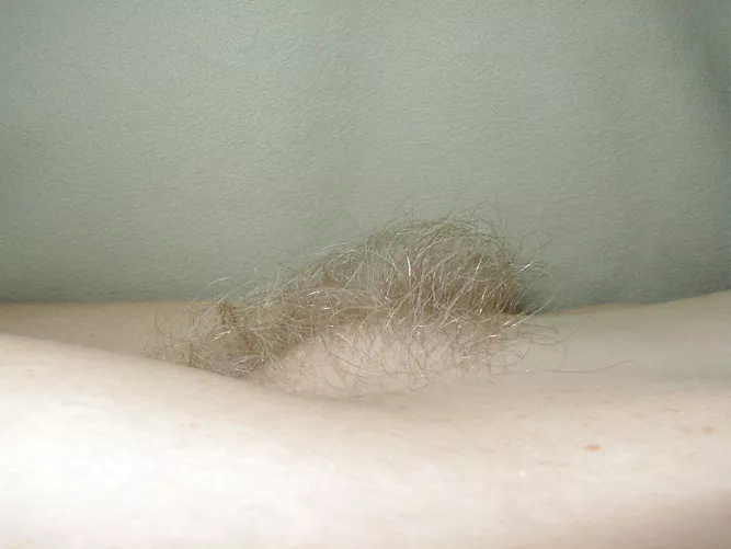 Blond bush from the side by Unfair_Detail3238