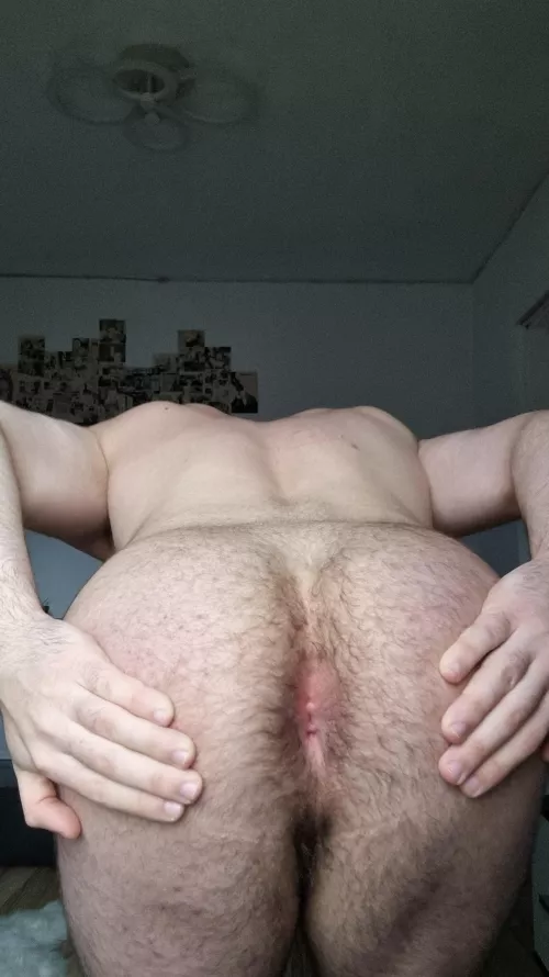 Do guys find hot hairy ass or shaved? Be honest  by Luxationers