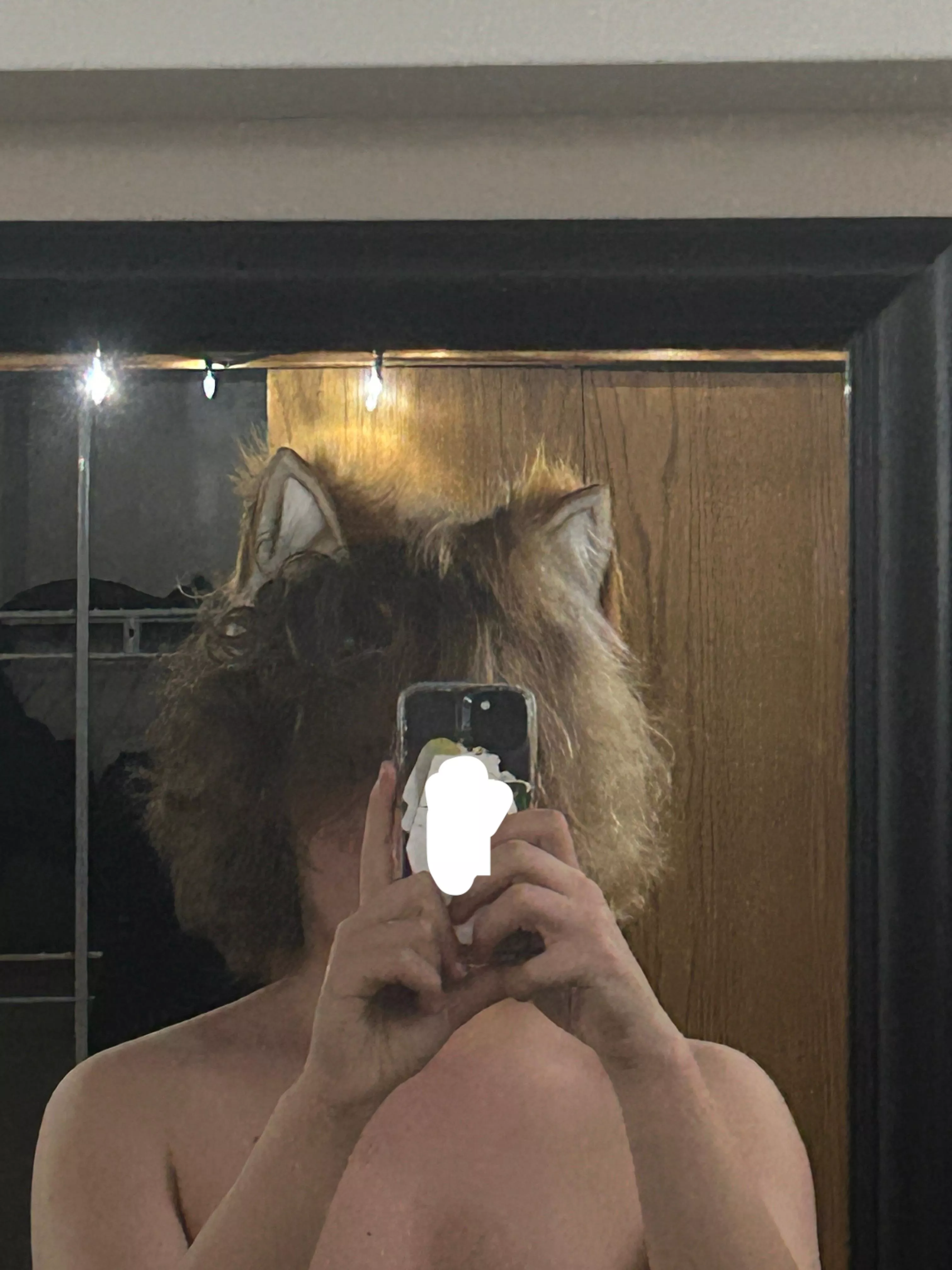 Ears posted by Plutoniumchloride