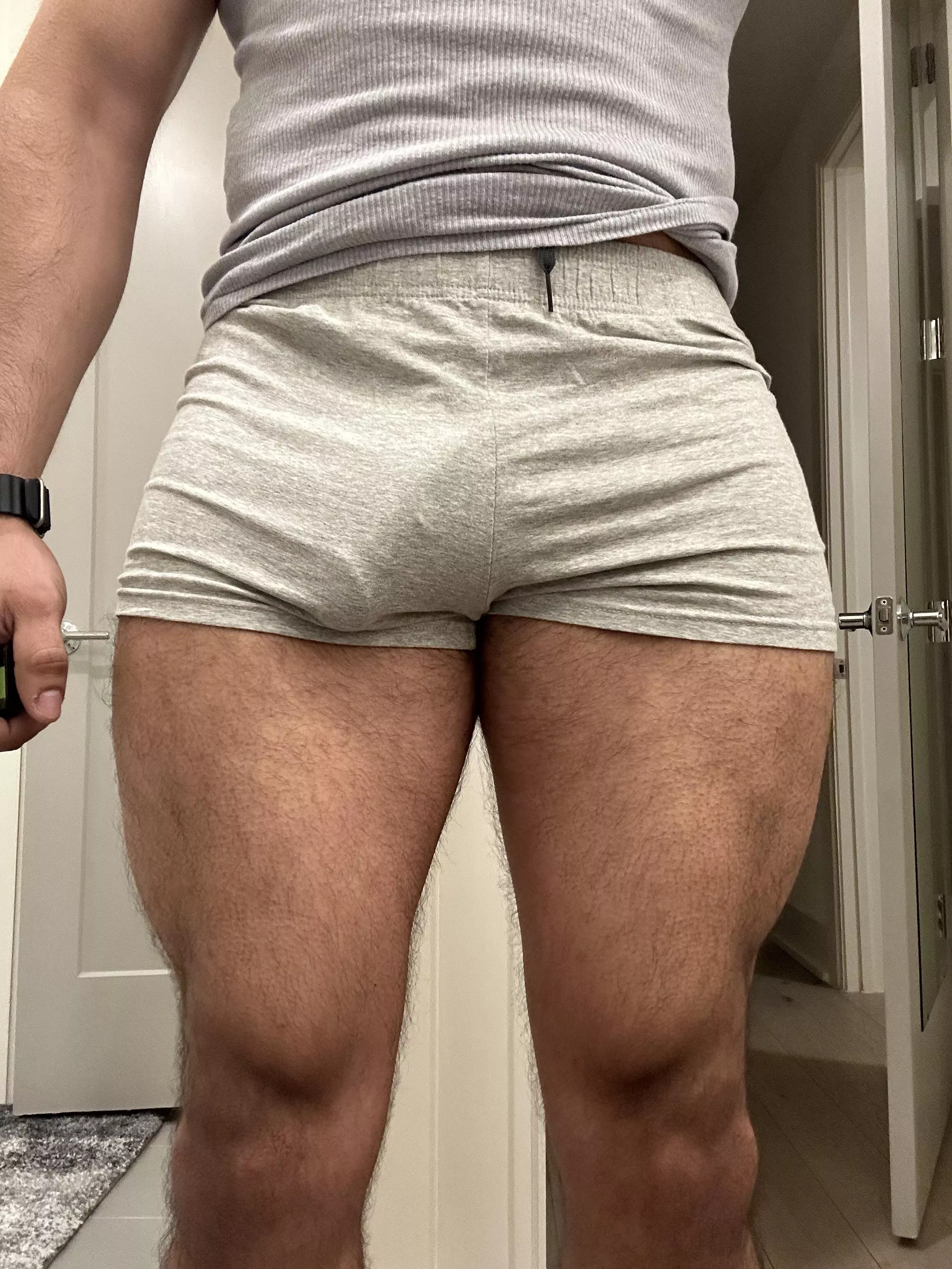 Grey shorts. posted by MidEastdude
