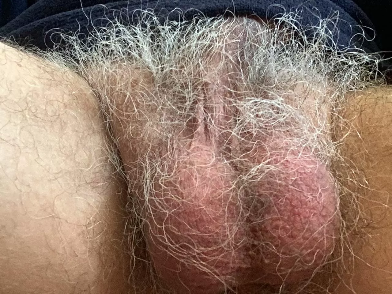 Happy Silver Pubes Sunday posted by SilverBud64