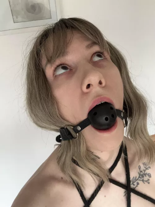 I am proud to introduce you to the best side of me by JeanieHall