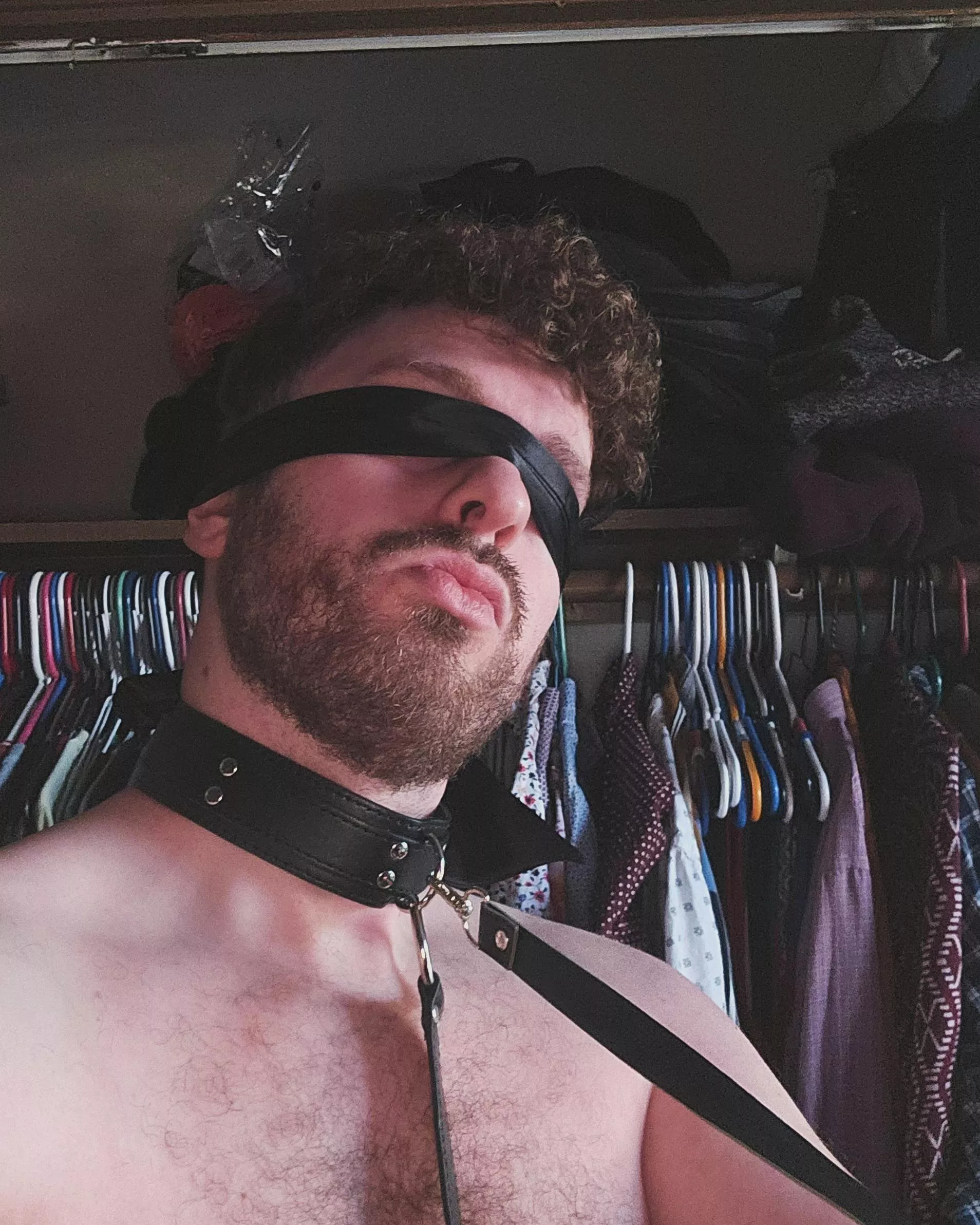 I give you the leash....what would you do to me?  posted by Tyler93xxx