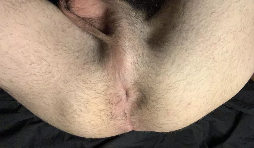 I only accept creampies 😉 by Beginning_Cry4907