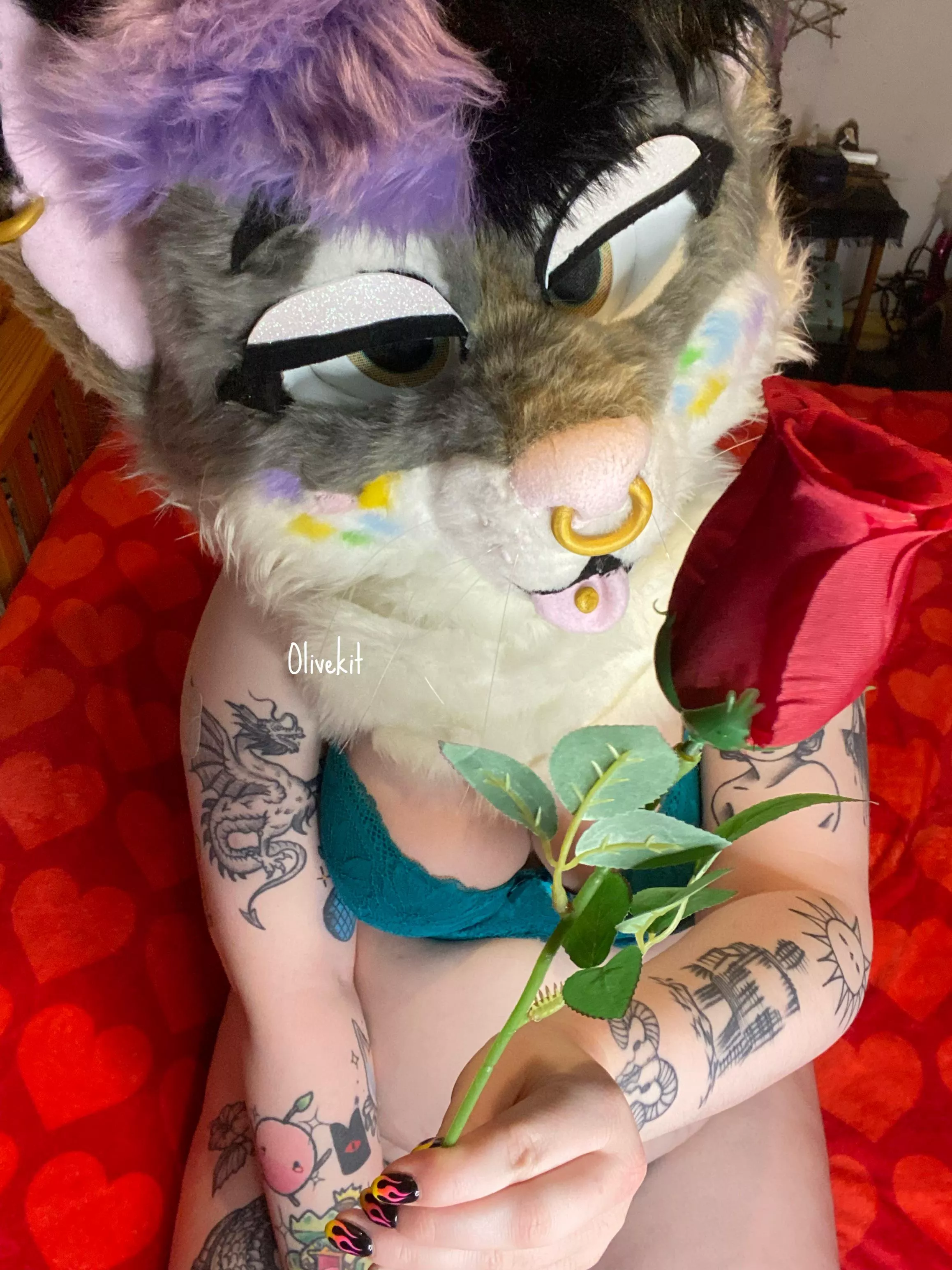 Kitty has a rose for you posted by olivekit