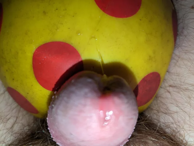 Let me cum on the ball by National_Rub7997