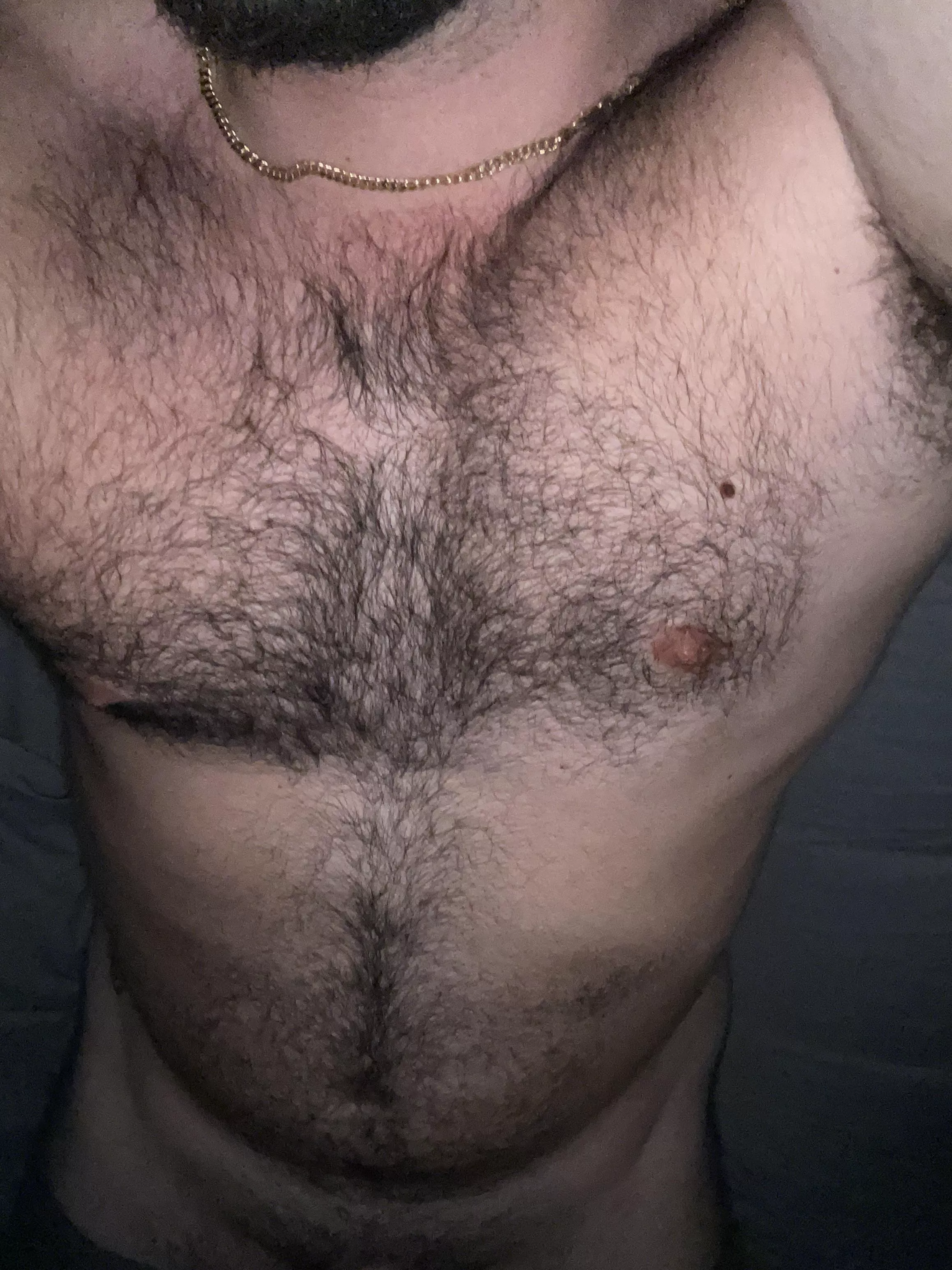 Looking for a beefy friend. 28 bi here. posted by Consistent_Laugh_613
