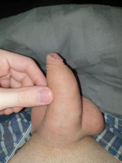 My little friend by Little-Ad9968