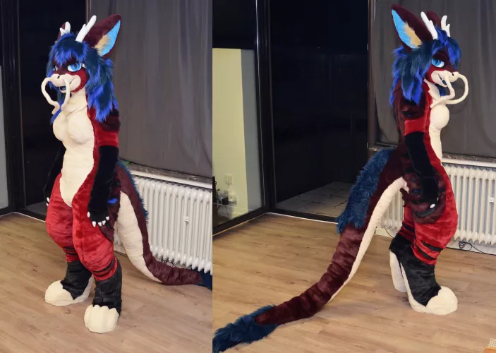 Newest personal suit finished: Noodle dragon by MugiwaraCosplay