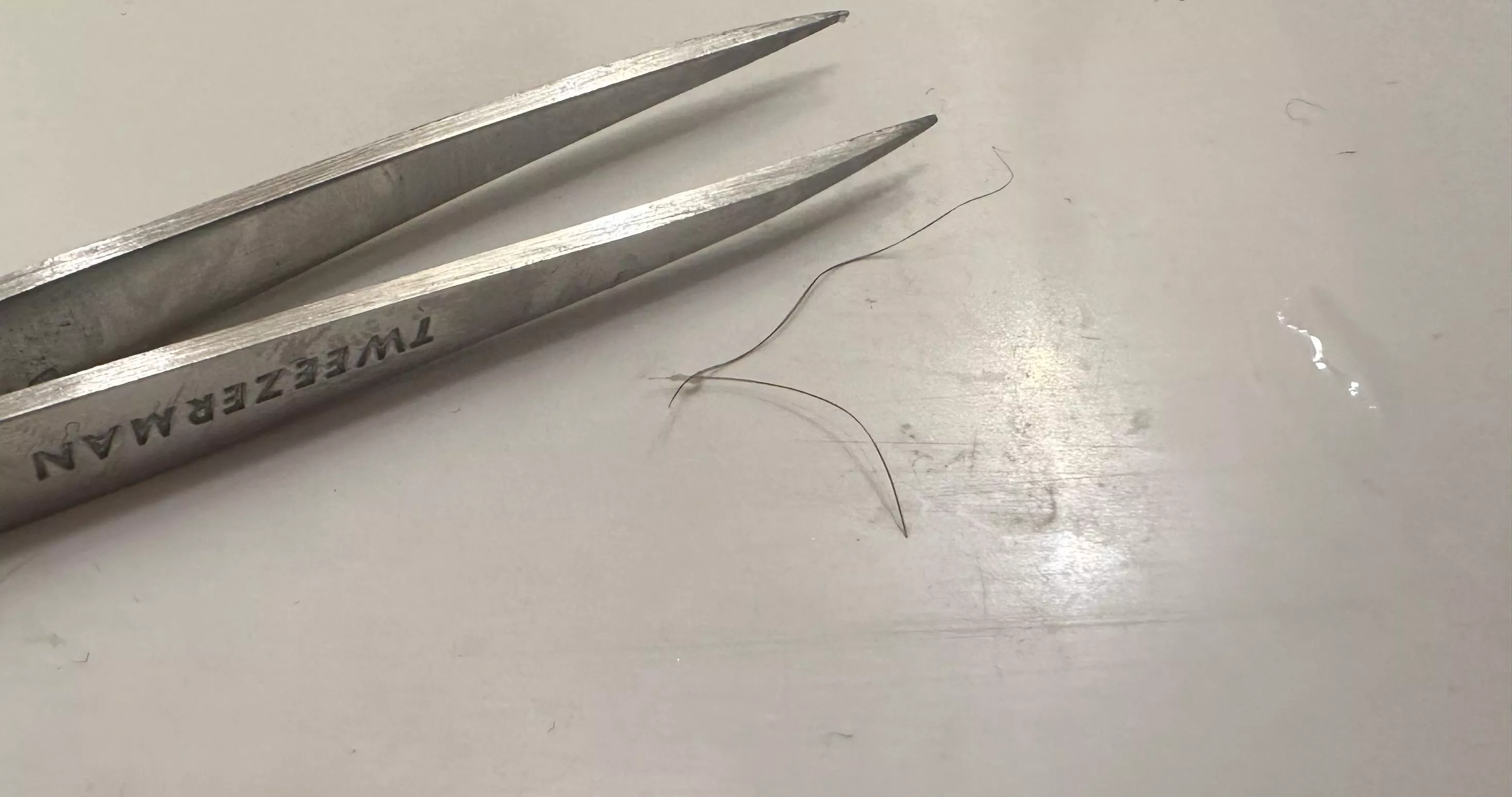 Noticed a pretty small bump on my leg and pulled out an ingrown hair ALMOST AN INCH LONG. posted by beelzeflub