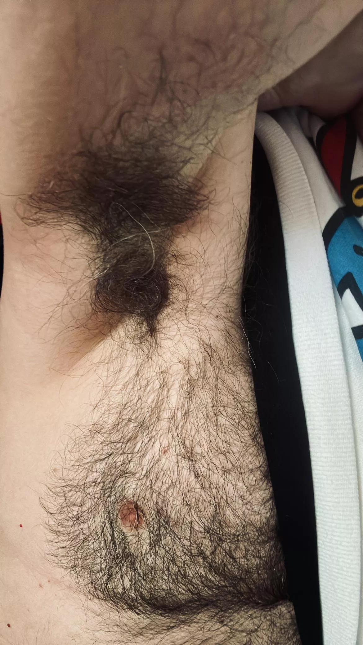 Peekaboo pit & tiny tit posted by jerseyjaxoff