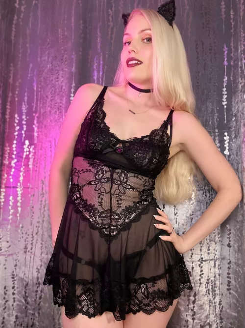 Sassy Kitty by ittybityprettykitty