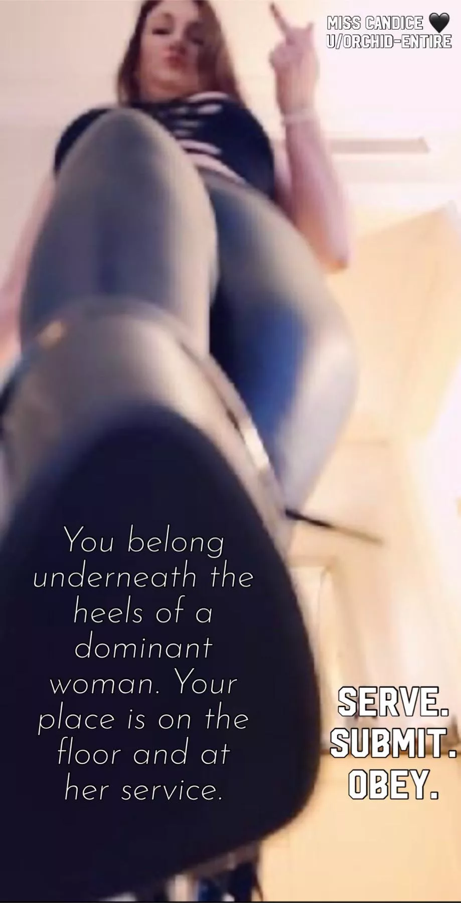 Serve. Submit. Obey. Find your true place in life under the heels of a woman who wants nothing more than to make you a toy for her amusement. posted by Orchid-Entire